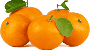 Kinnow exports Pakistan threatened by climate change and outdated varieties