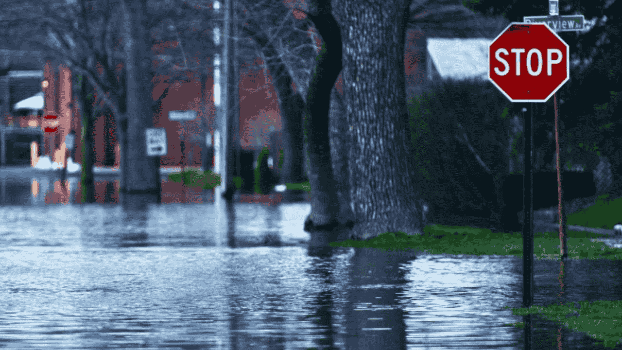 Pakistan flood impact on agriculture and farmers