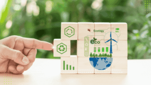 Waste to Energy in Punjab initiative by LWMC and government