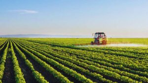 FAO’s role in digital agriculture transformation in Pakistan