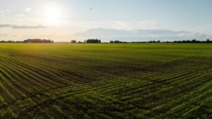 Farmers preparing Rabi crops in Pakistan 2025 amid changing weather