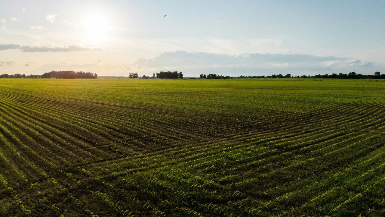 Farmers preparing Rabi crops in Pakistan 2025 amid changing weather
