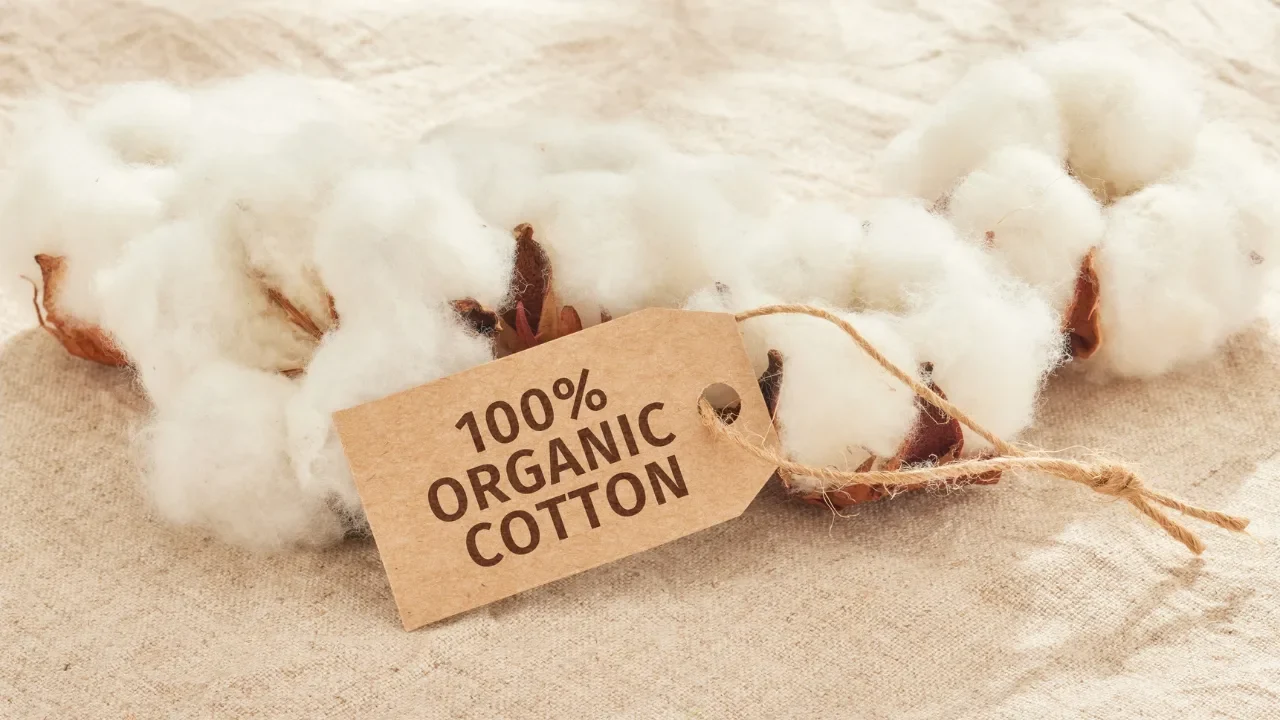 Farmers working under Pakistan Cotton Plan 2025 to boost cotton production and textile exports