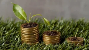 Pakistan Climate Risk Fund supporting farmers and microfinance institutions