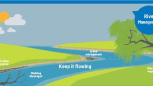 Pakistan flood management using wetlands, forests, and urban water absorbing parks