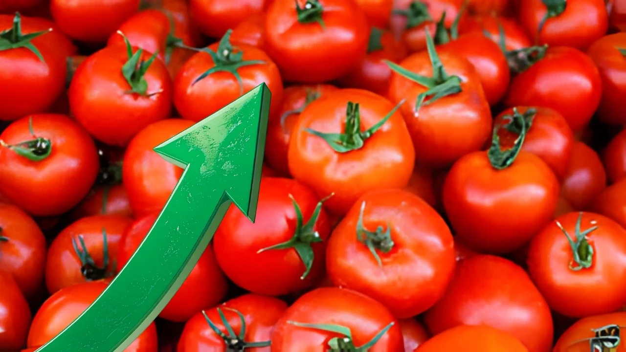 Rising tomato price in Pakistan due to floods and low supply