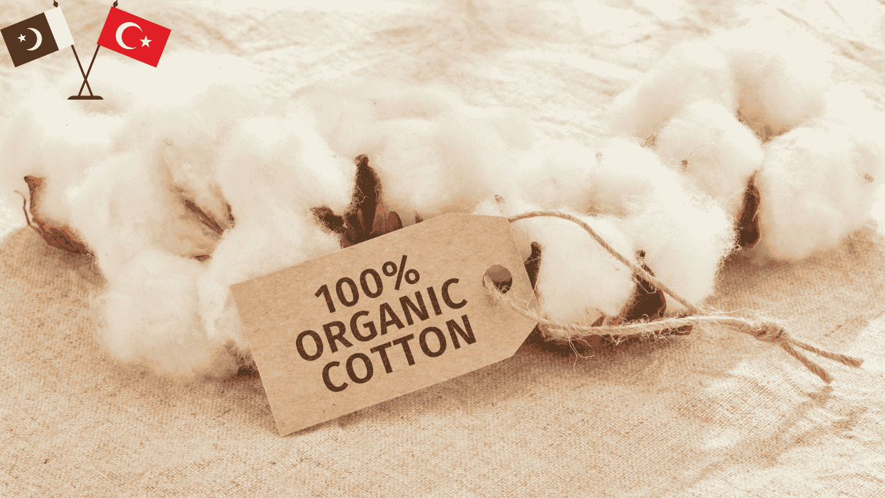 Scientists testing hybrid cotton in Pakistan fields to boost yields