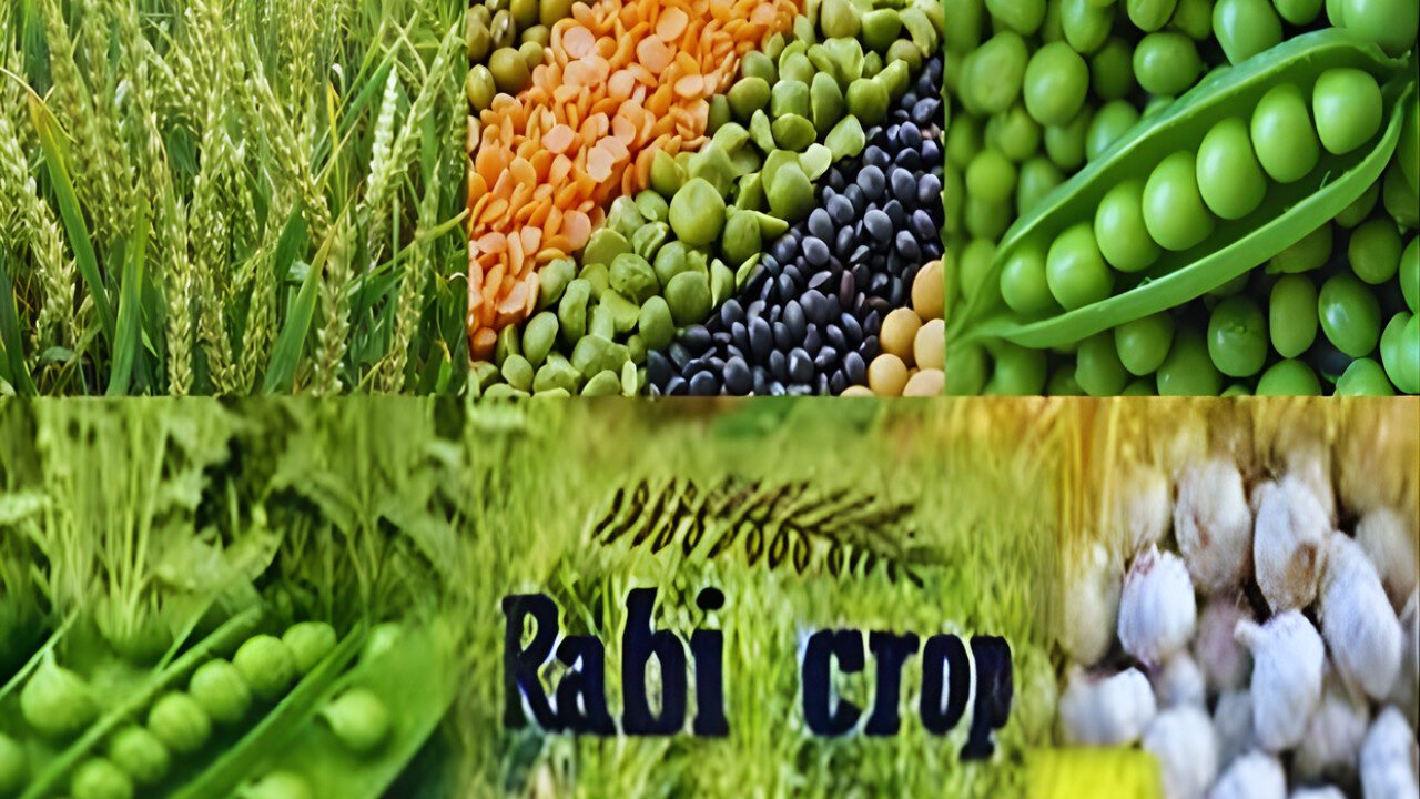 USC employees severance package approval with financial details