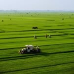 China rural revitalization policy meeting highlighting rural development plans