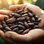 Farmers benefit from growing agriculture credit in Pakistan through SBP reforms