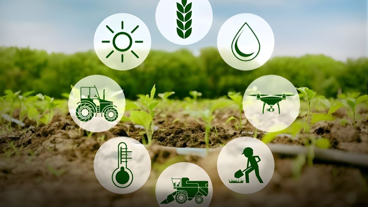 National Agricultural Technology Transfer Pakistan Center connecting research with farmers (1)