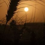 Pakistan Agricultural Research Collaboration modernizing labs and training programs