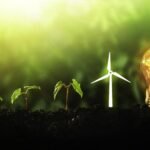 Pakistan solar energy transition shows rising rooftop solar and declining grid electricity use