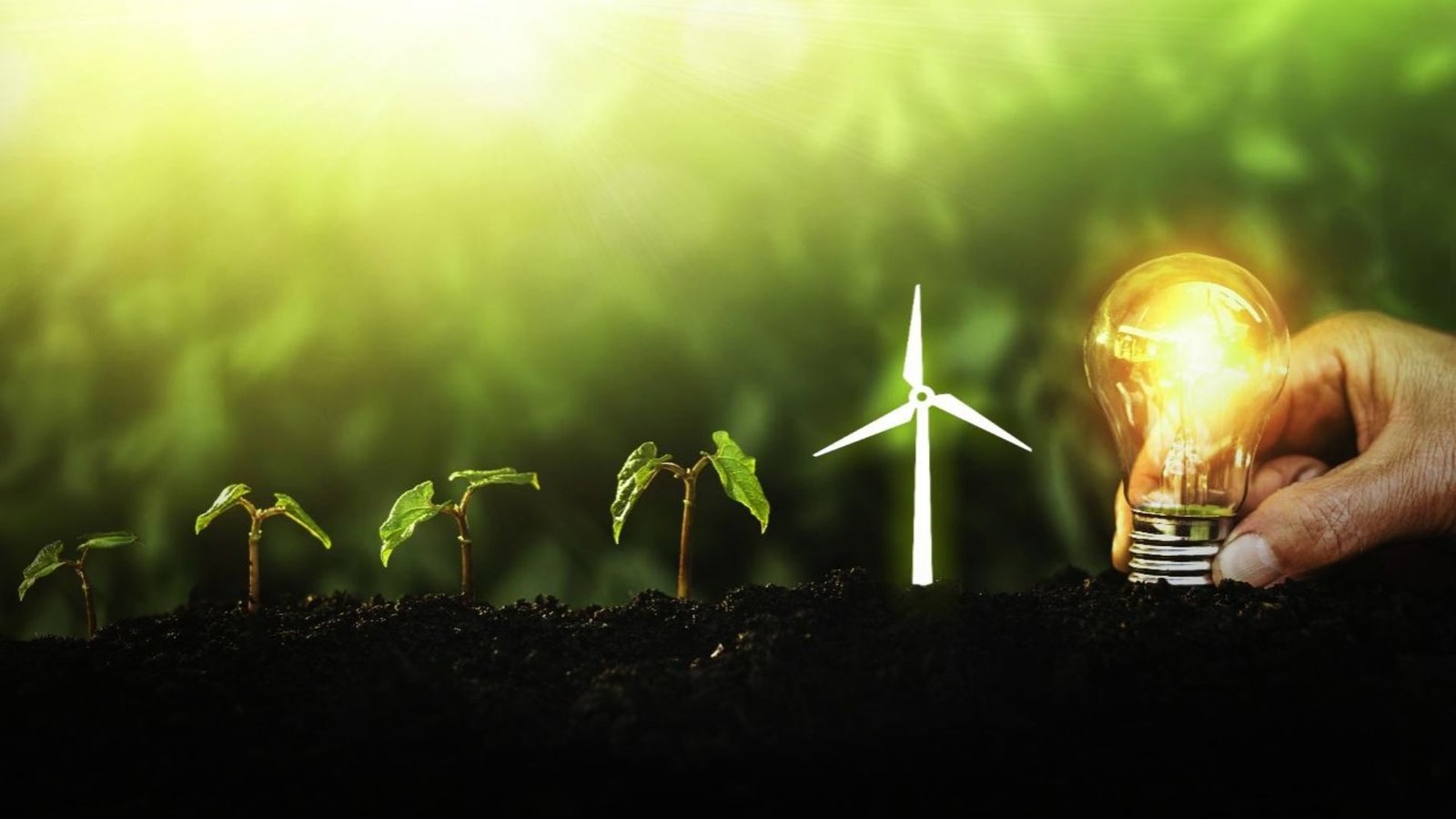 Pakistan solar energy transition shows rising rooftop solar and declining grid electricity use