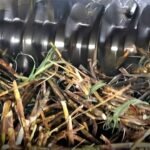 Punjab sugarcane crushing 2025 operations at local mills