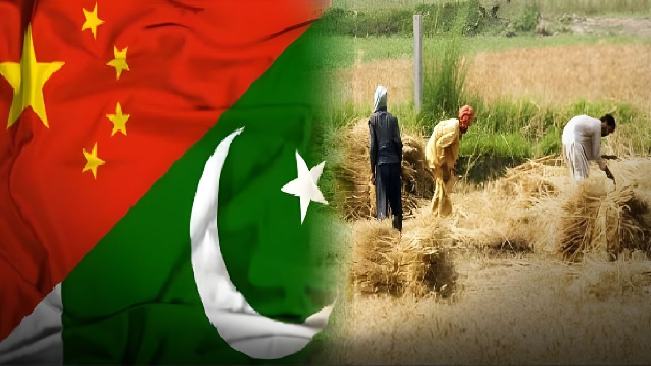 Researchers at PARC working under the PARC Agricultural Reform Plan 2025 to modernize Pakistan’s agriculture sector.