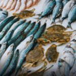 Sindh Mini Fish Harbours Project Brings New Hope