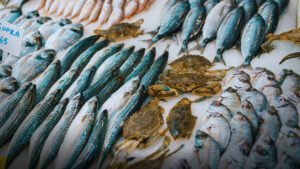 Sindh Mini Fish Harbours Project Brings New Hope